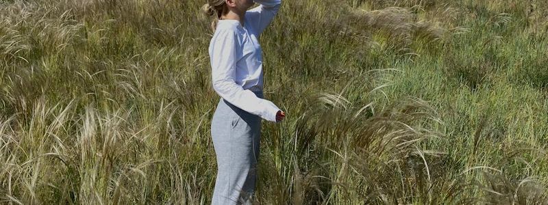 Wide view of a peaceful studio space for stretching.